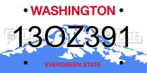 13OZ391 Washington License Plate