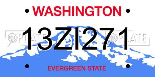 13ZI271 Washington License Plate