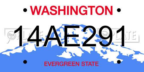 14AE291 Washington License Plate