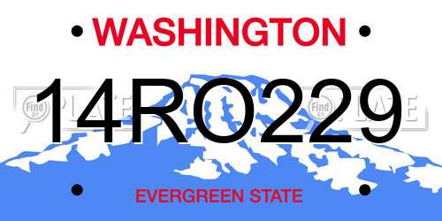 14RO229 Washington License Plate