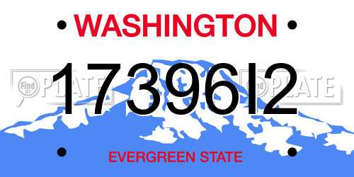 17396I2 Washington License Plate