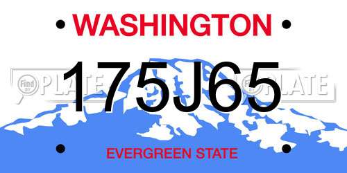 175J65 Washington License Plate