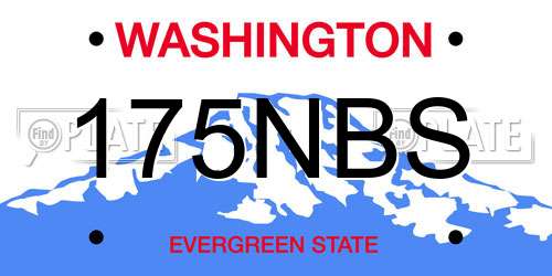 175NBS Washington License Plate