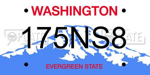 175NS8 Washington License Plate