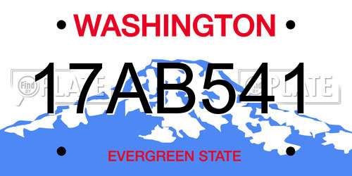 17AB541 Washington License Plate