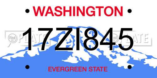 17ZI845 Washington License Plate