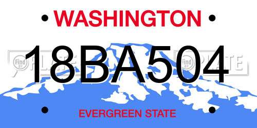 18BA504 Washington License Plate