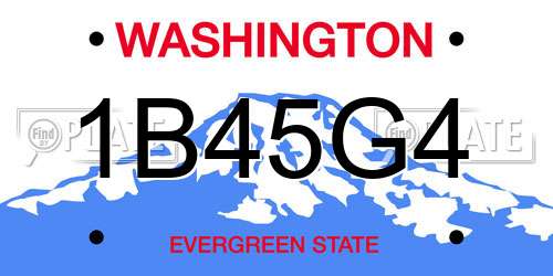 1B45G4 Washington License Plate