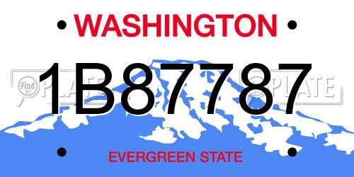1B87787 Washington License Plate