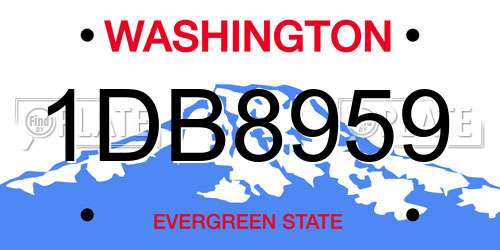 1DB8959 Washington License Plate
