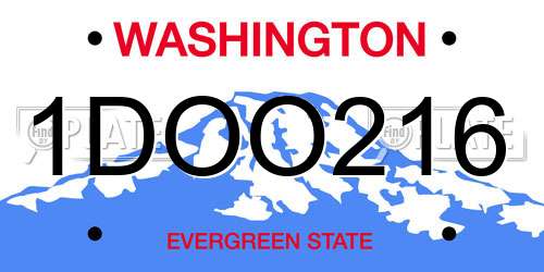 1DOO216 Washington License Plate