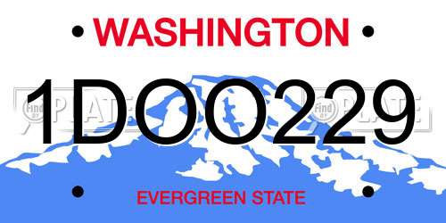 1DOO229 Washington License Plate