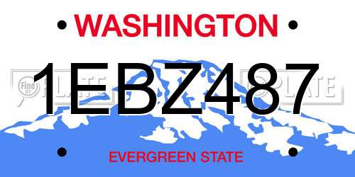 1EBZ487 Washington License Plate