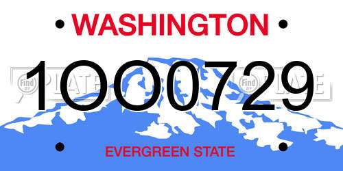 1OO0729 Washington License Plate