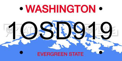 1OSD919 Washington License Plate