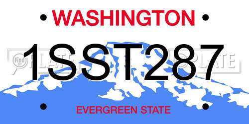 1SST287 Washington License Plate