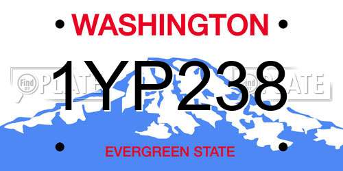 1YP238 Washington License Plate
