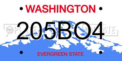 205BO4 Washington License Plate