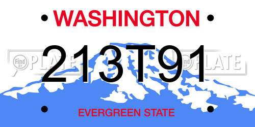 213T91 Washington License Plate