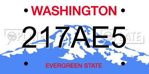 217AE5 Washington License Plate