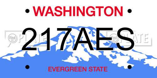 217AES Washington License Plate