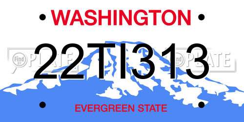 22TI313 Washington License Plate