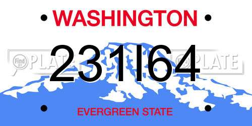 231I64 Washington License Plate