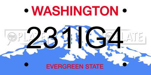 231IG4 Washington License Plate