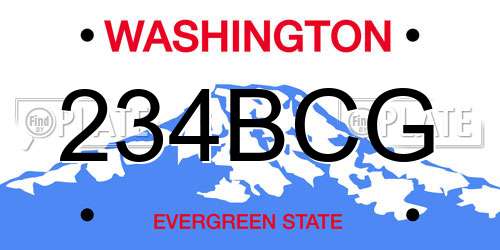 234BCG Washington License Plate