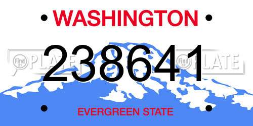 238641 Washington License Plate