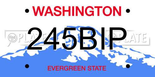 245BIP Washington License Plate