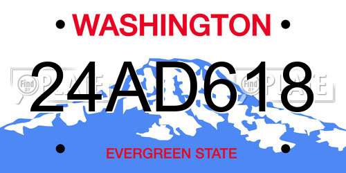 24AD618 Washington License Plate
