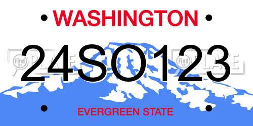 24SO123 Washington License Plate