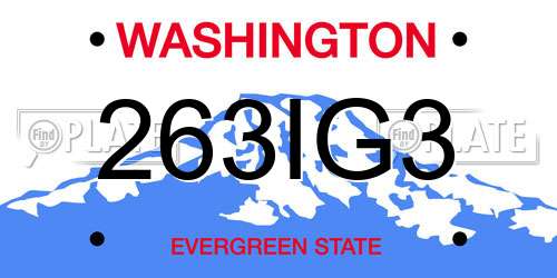 263IG3 Washington License Plate