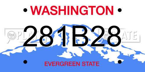 281B28 Washington License Plate