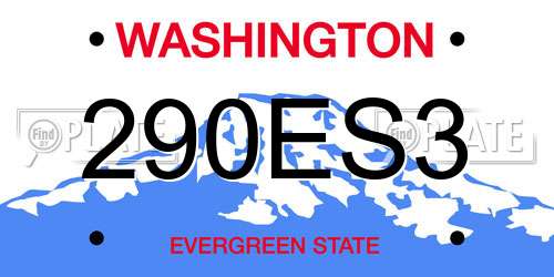 290ES3 Washington License Plate