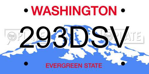 293DSV Washington License Plate