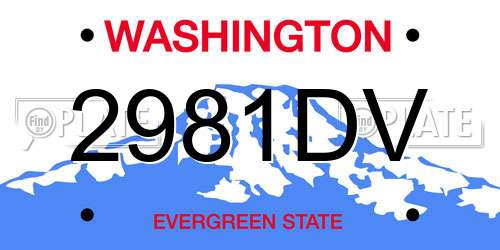 2981DV Washington License Plate