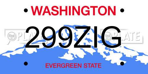 299ZIG Washington License Plate