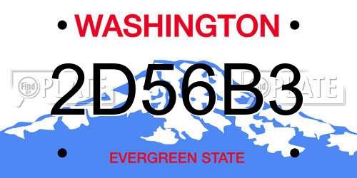 2D56B3 Washington License Plate