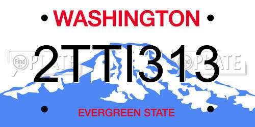 2TTI313 Washington License Plate