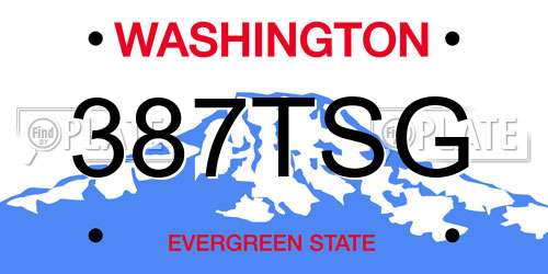 387TSG Washington License Plate