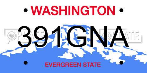 391GNA Washington License Plate