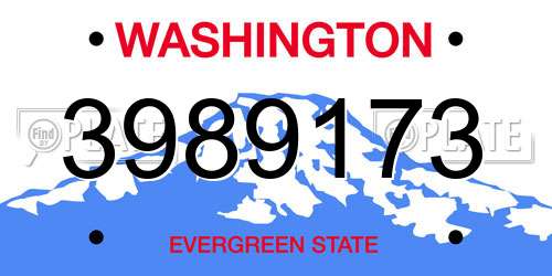 3989173 Washington License Plate