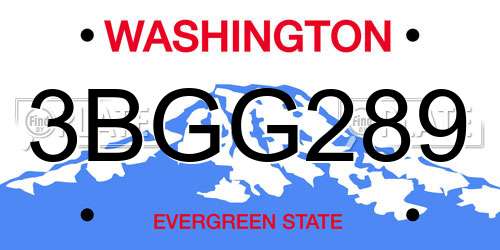 3BGG289 Washington License Plate