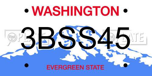 3BSS45 Washington License Plate