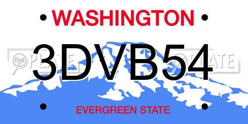 3DVB54 Washington License Plate