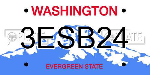 3ESB24 Washington License Plate
