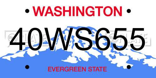40WS655 Washington License Plate