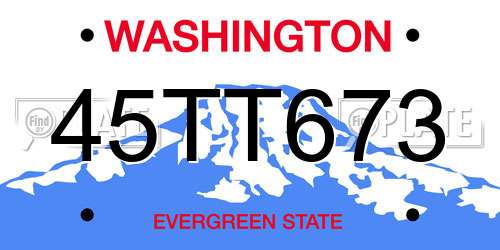 45TT673 Washington License Plate
